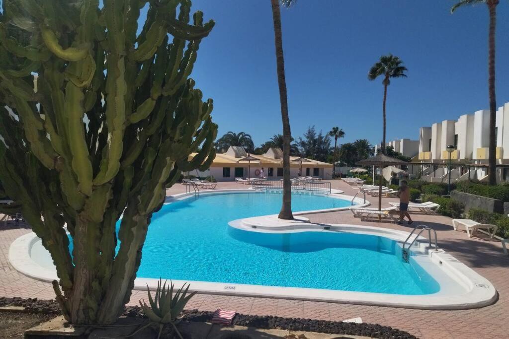 Appartement Capri Maspalomas *