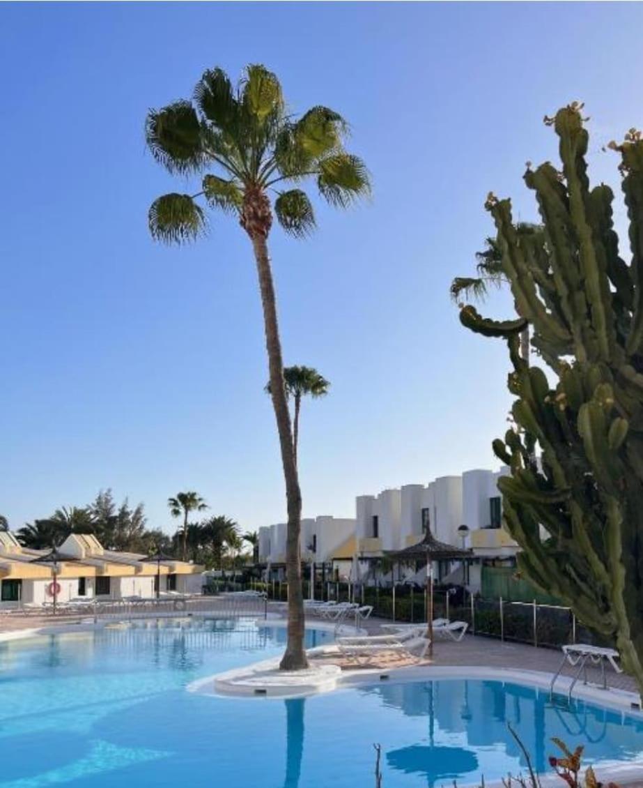 Capri Maspalomas Appartement